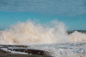 Kallo waves