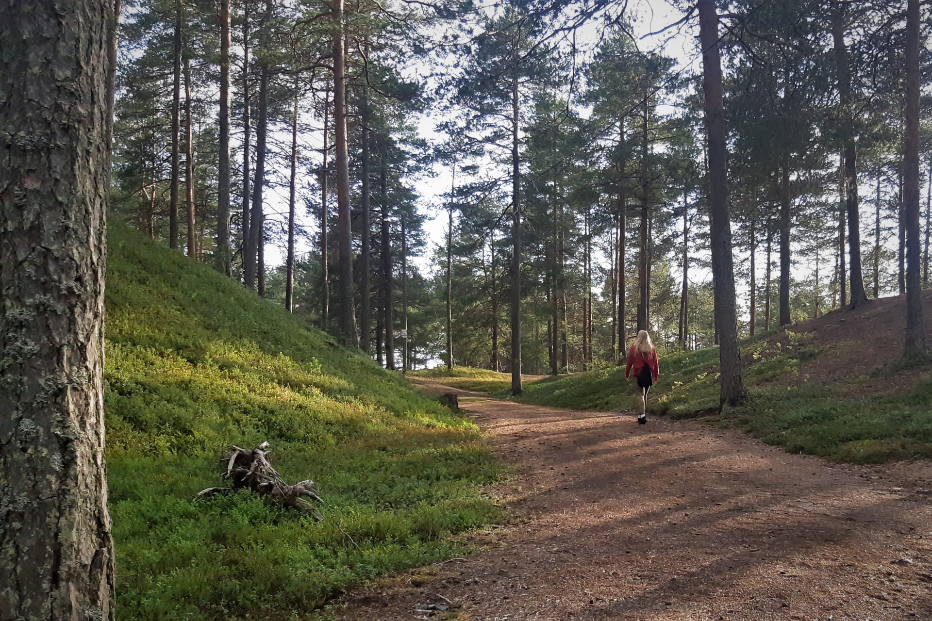 Virpiniemi recreational area - Oulu | Atla