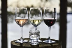 The price includes 24 cl of wine and the other drinks to taste