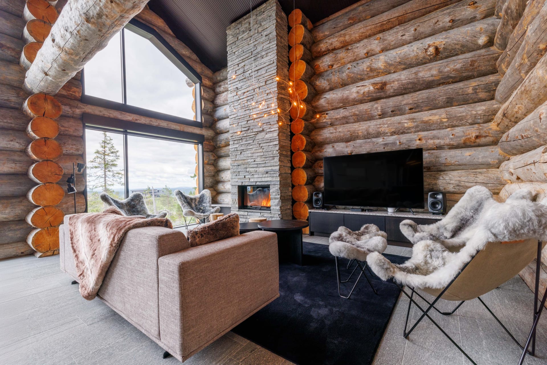 Living room area with fireplace