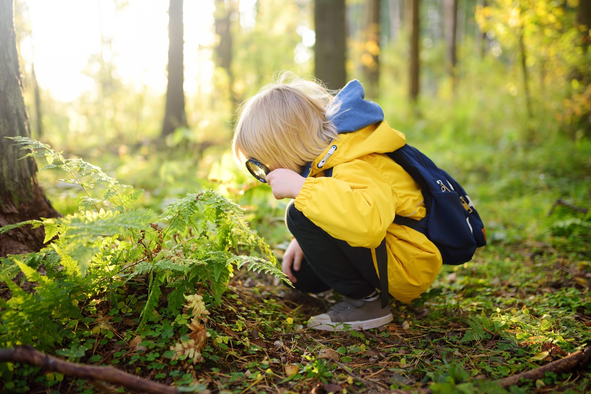 A kid watching a plant with magnifying glass