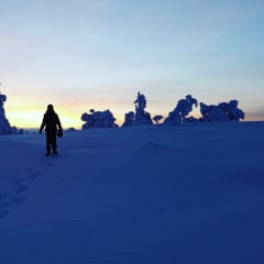 Riisitunturin kansallispuisto lumikenkäretki