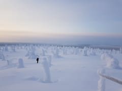 Riisitunturin kansallispuisto lumikenkäretki