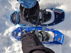 Riisitunturin kansallispuisto lumikenkäretki