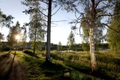 Ympäristötaidepuisto Iissä