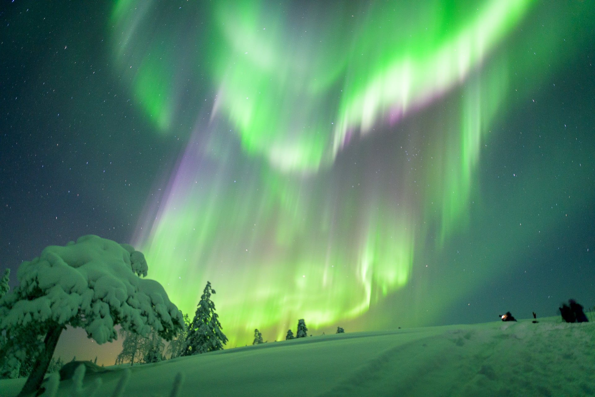 Private Aurora Tour (1-4) by Aurora Experts- Rovaniemi | Visit Finland