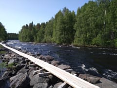 Kuva Lentuankosken möljästä