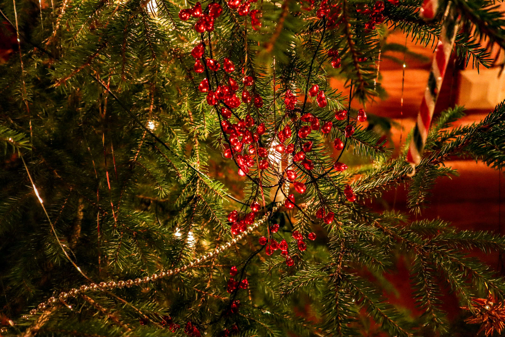Glass pearls in the Christmas tree.