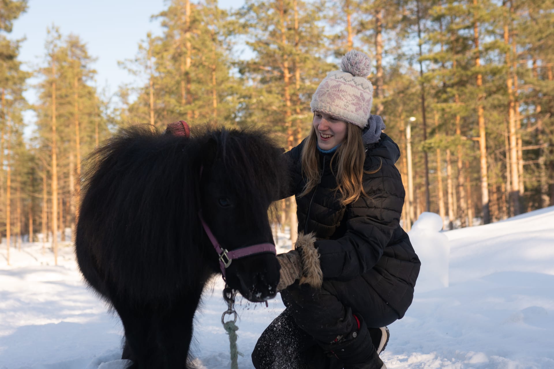 Outdoor activity with pony