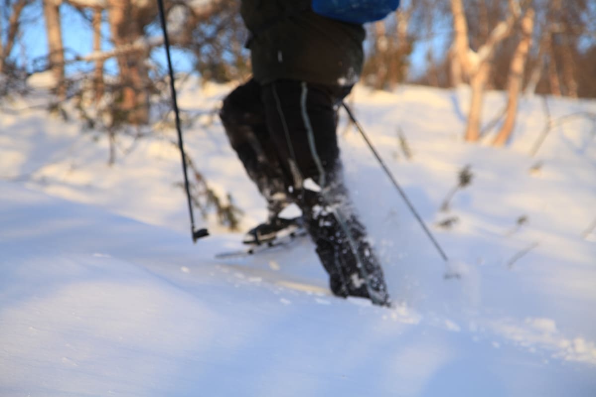 Snowshoe Trek in the Borderland of Kilpisjärvi
