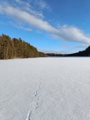 Villiyrttisauna Könkkölän rannassa