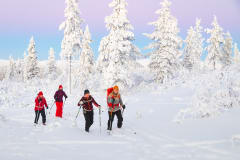 Snowshoeing and snowshoe rental at Kiilopää