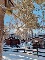 Nanoq - Arktinen museo