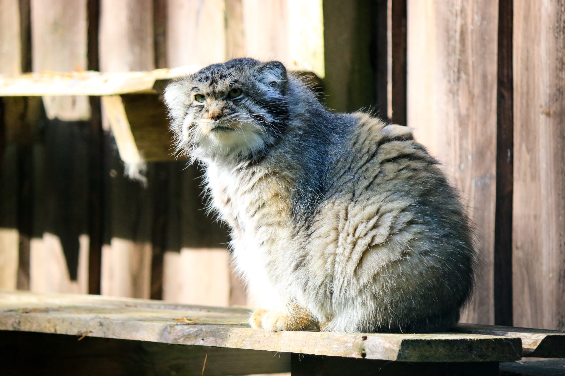Ranua Wildlife park experience