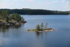 Raintsaari Saimaan Luonterilla