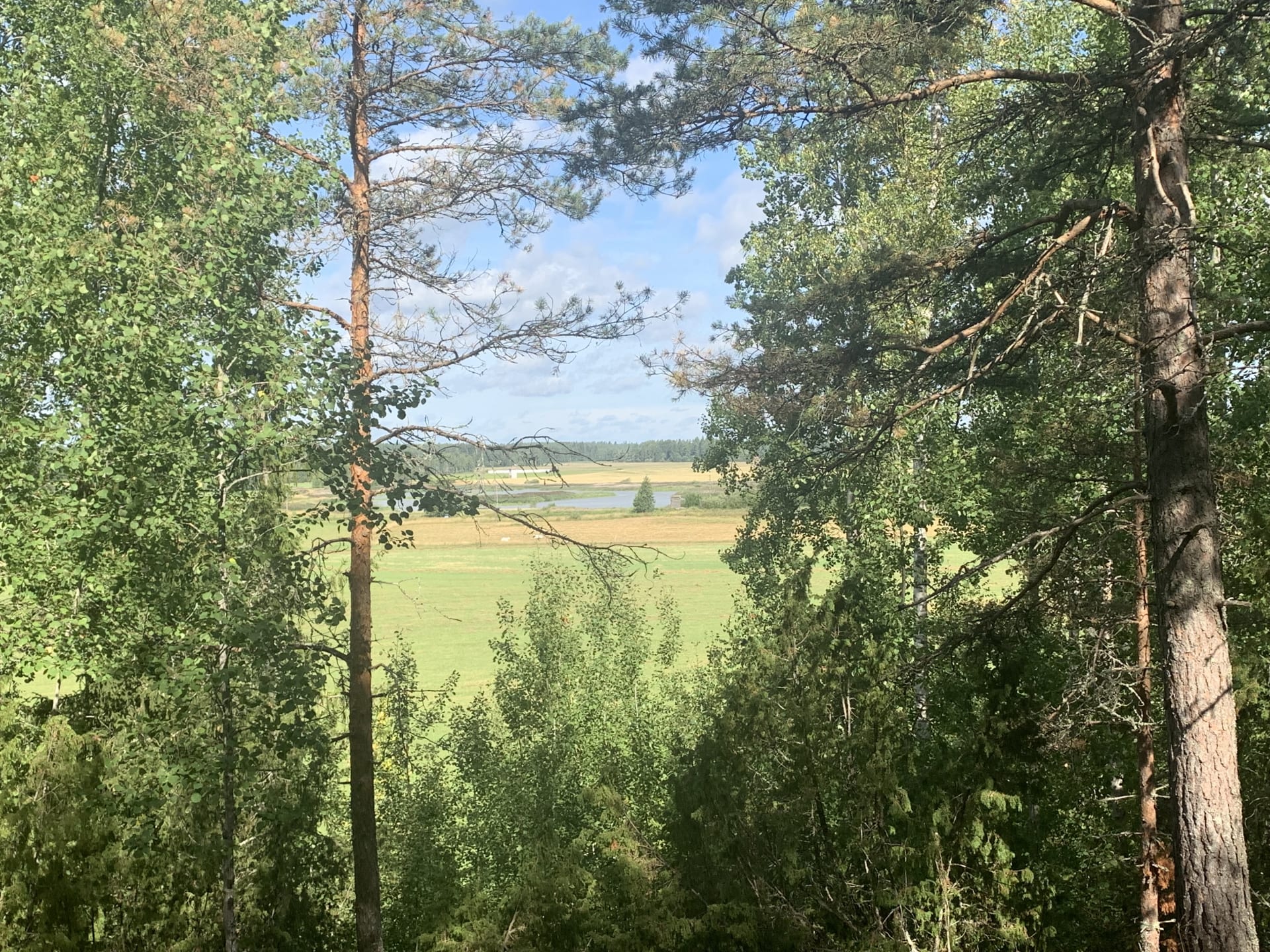 Guided nature travel with all the senses
