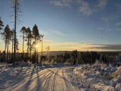 Kaunis maisema mökkitiellä.