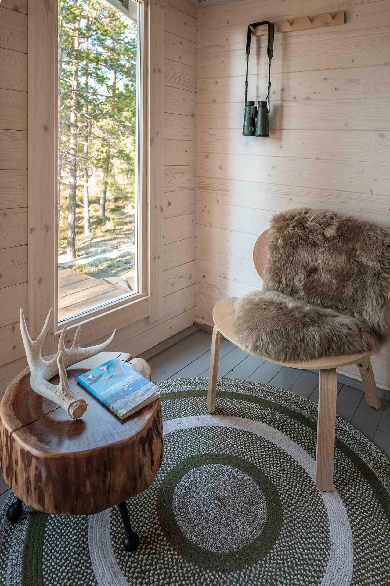 Observing the nature in the Finnish Archipelago