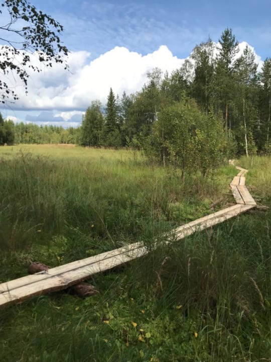 visitii.fi