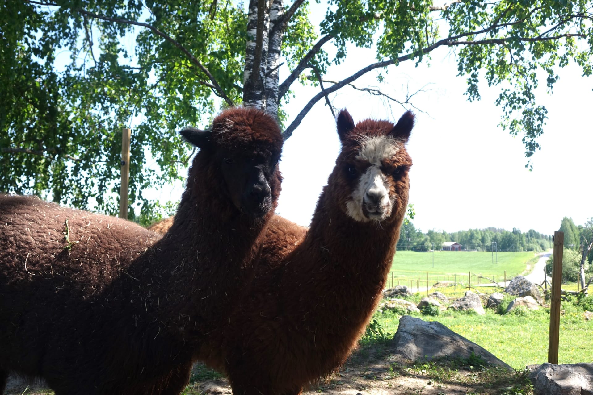 Majatalosta majataloon pyörävaellus