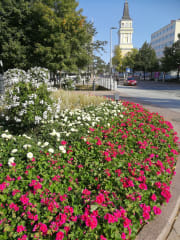 Opastettu pyöräretki Nallikarista Oulun keskustaan