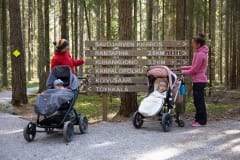 Kurjenrahkan kansallispuisto