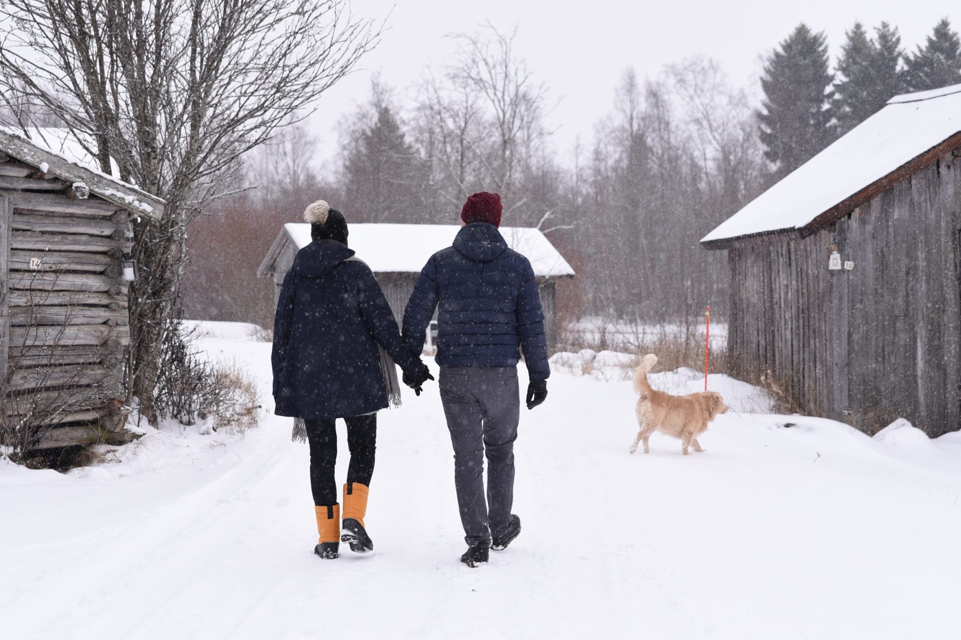 Pariskunta kävelee talvisessa maisemassa Kaukonrannassa, kuvassa myös koira.