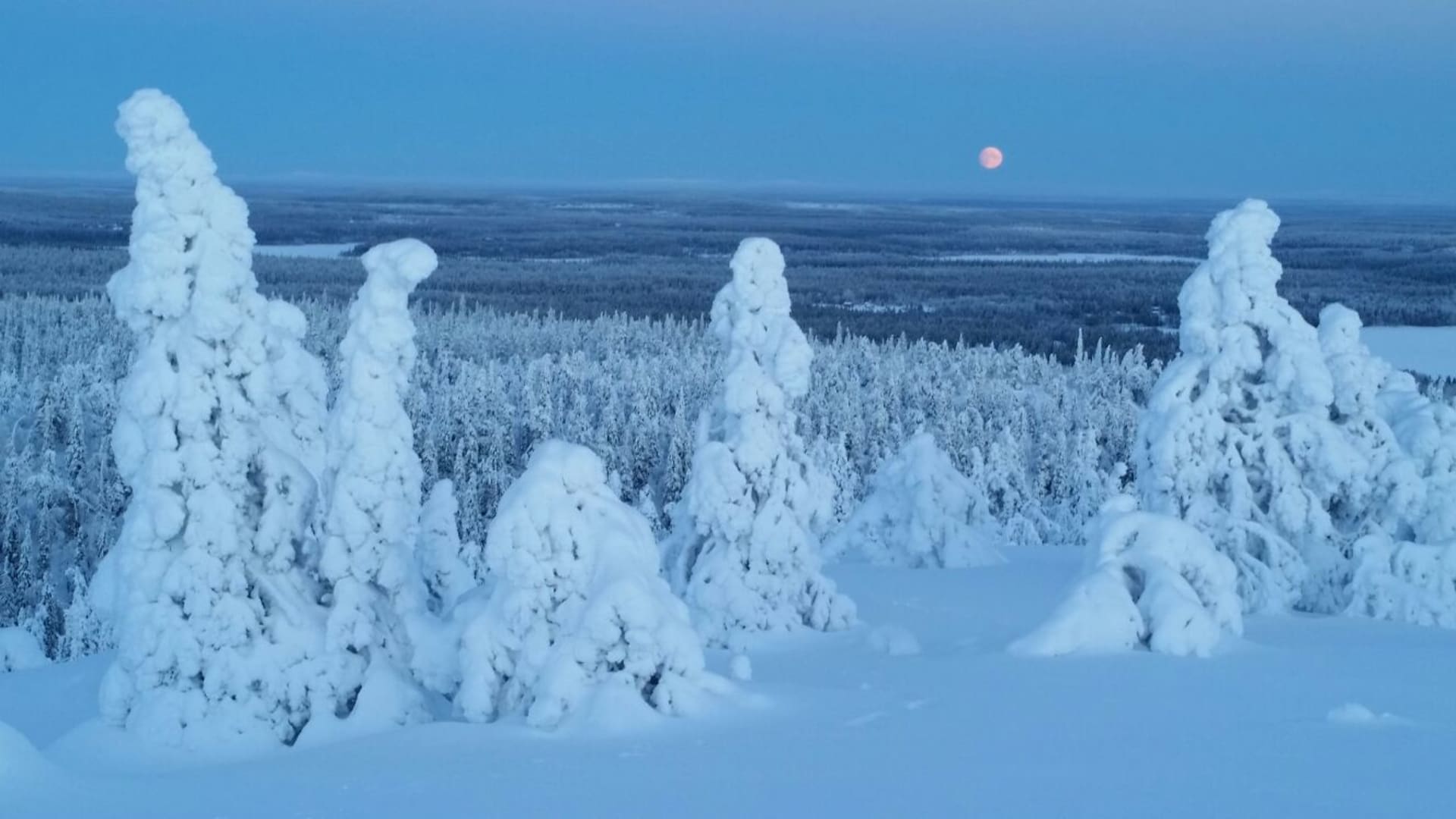 Full Moon Tour in Riisitunturi National Park
