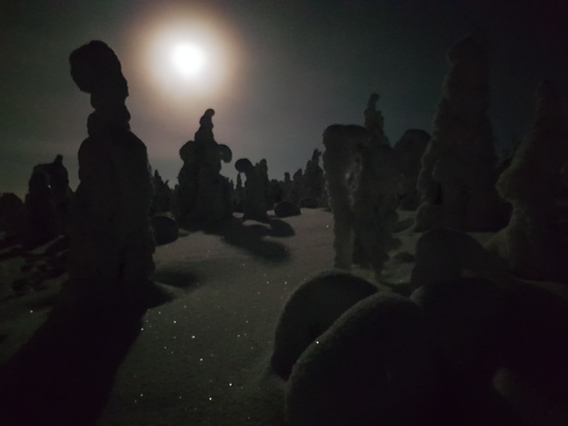 Full Moon Tour in Riisitunturi National Park