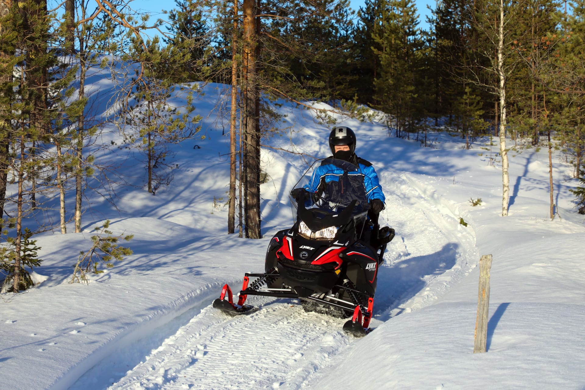 A person driving a snowmobile on the track emerges from the woods into a sunny open space.