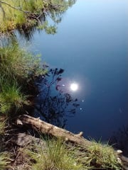 lake surface in the sun