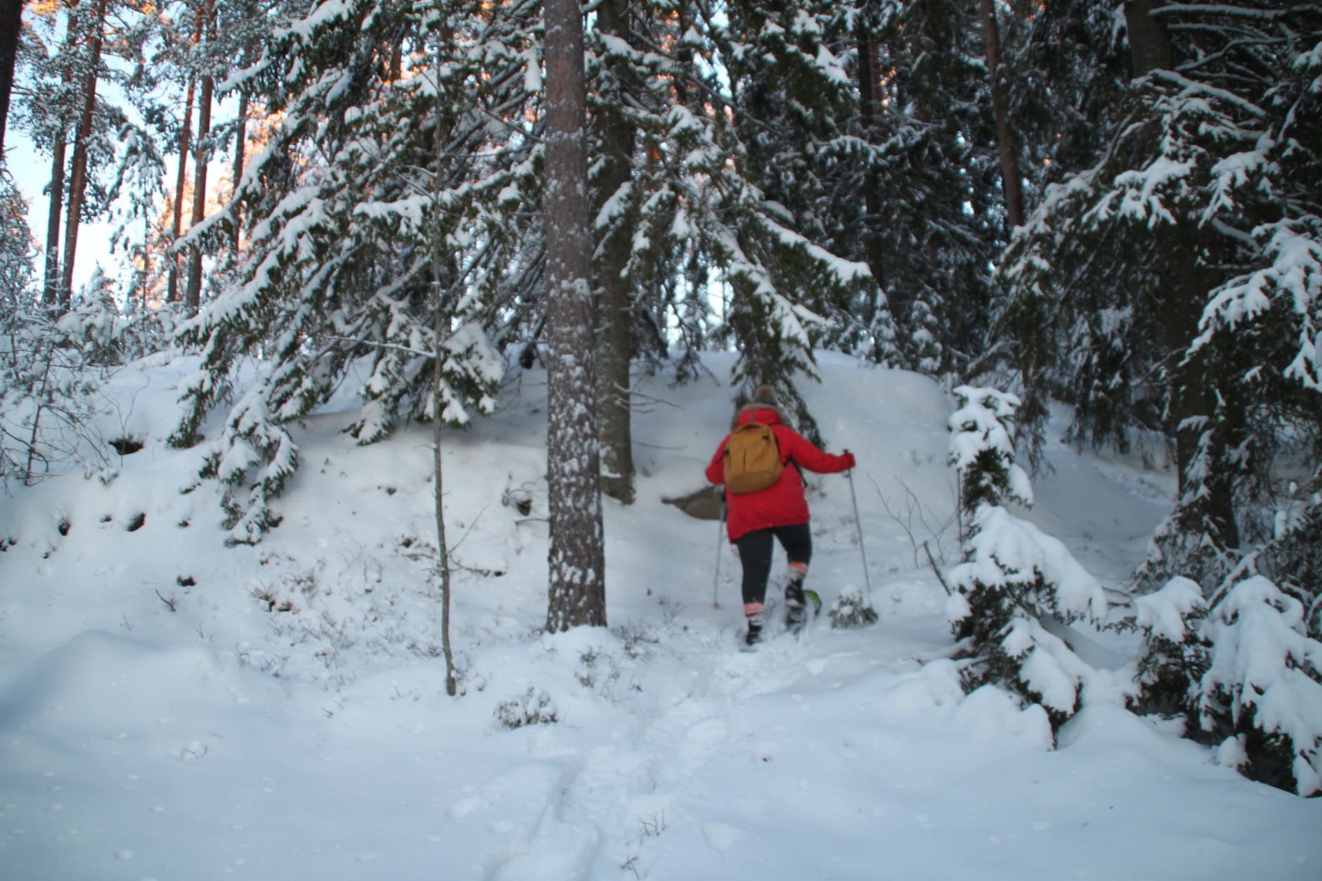 Tour is available also during winter