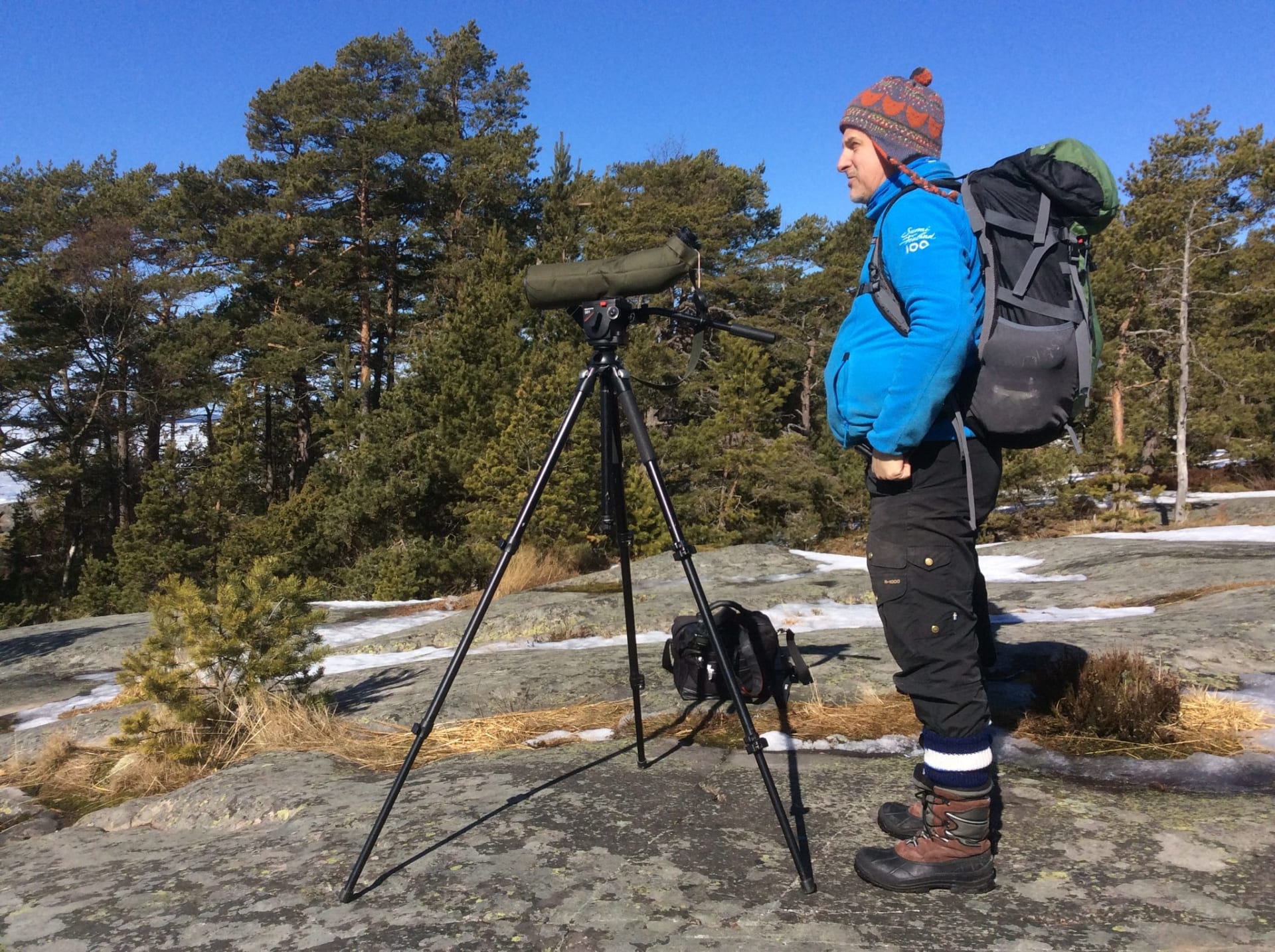 Porkkala peninsula is one of the best bird-watching sites near Helsinki