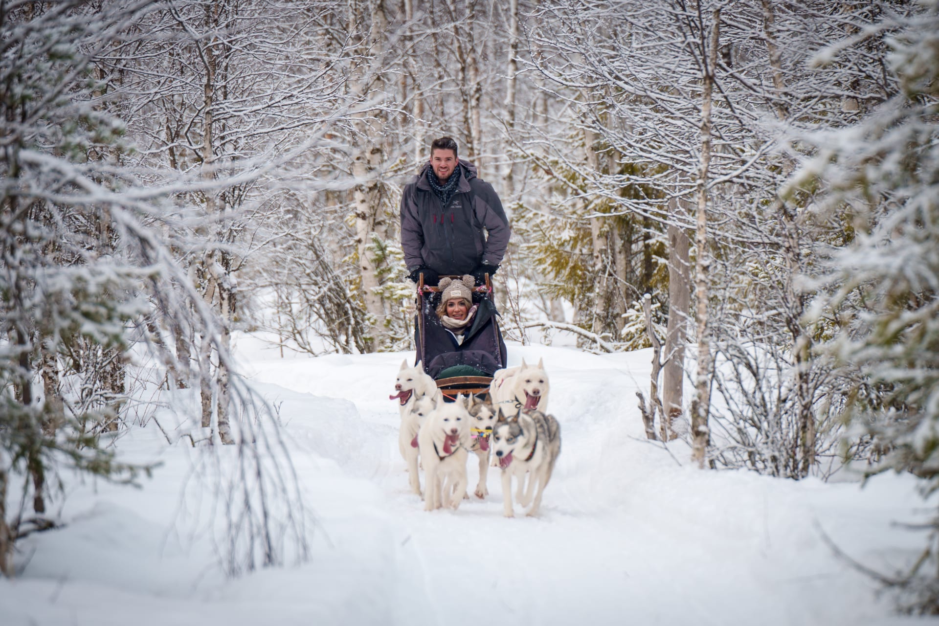 Family husky farm 