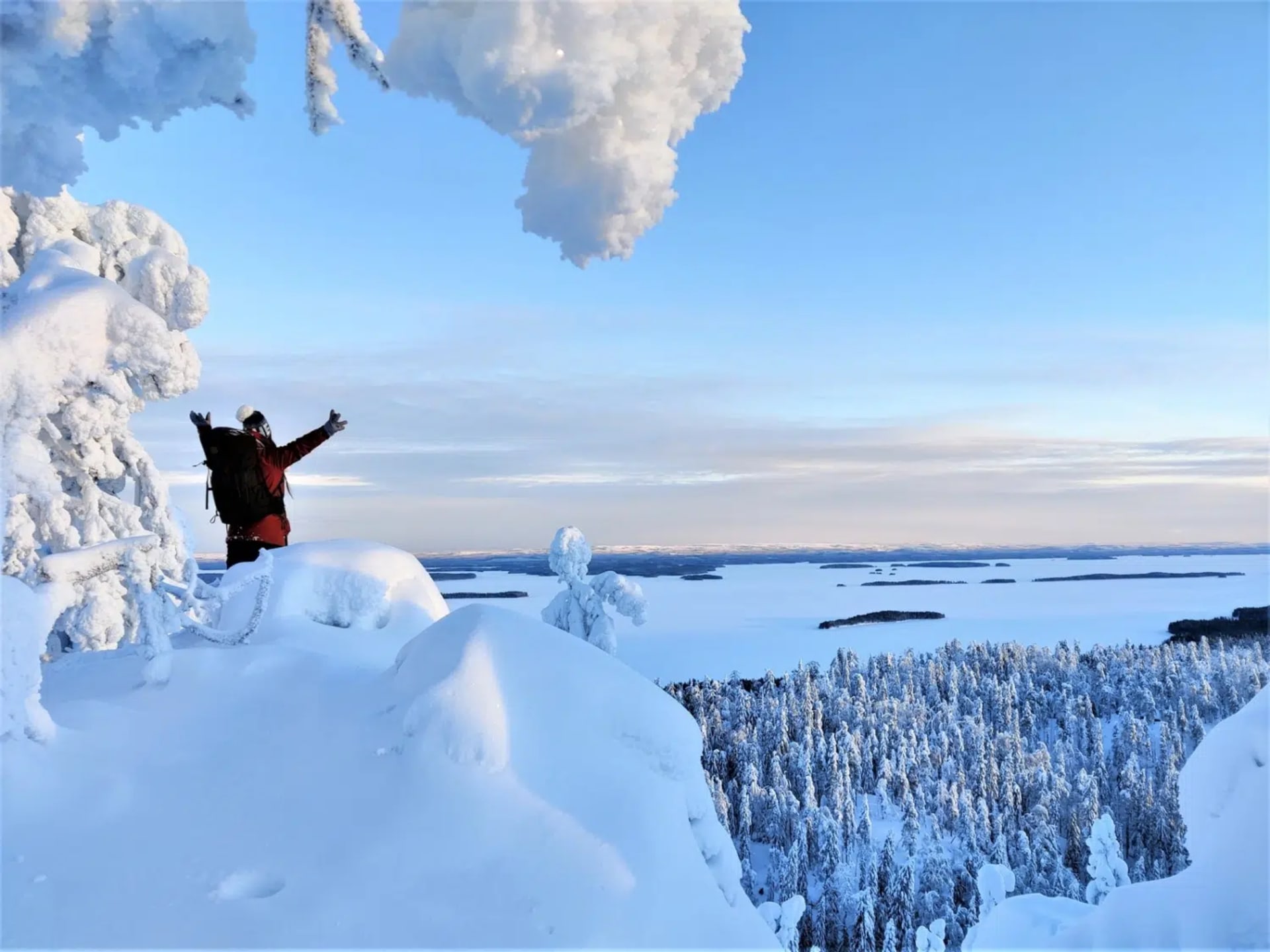 Snowshoeing in Koli Nationalpark