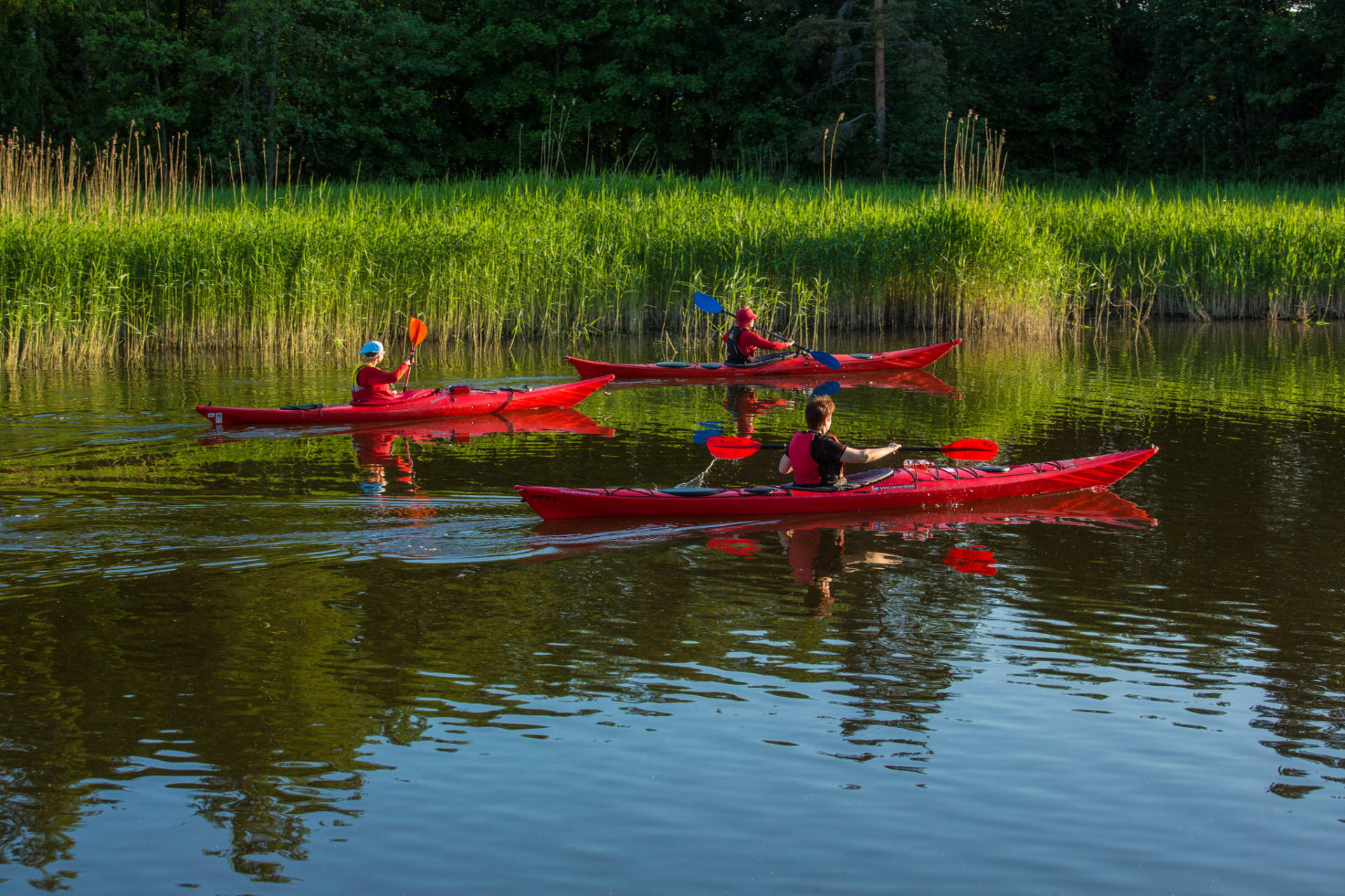Canoing at the shore