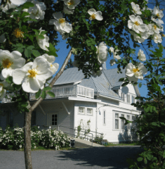 Päivän hemmottelupaketti Luontaiskylpylässä