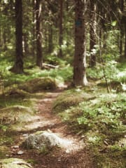 Patikointi Laipan lumoissa