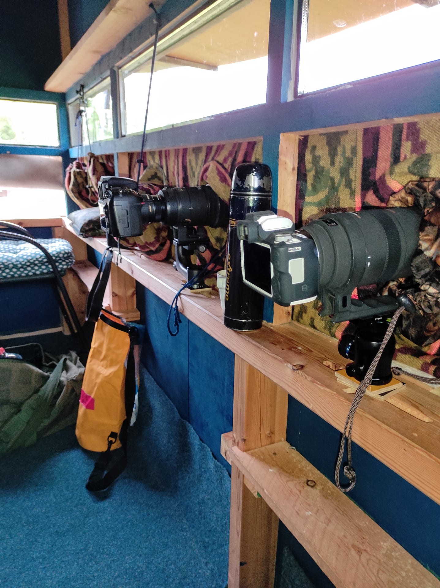 Boreal bird and wildlife tour - photographing from the hide