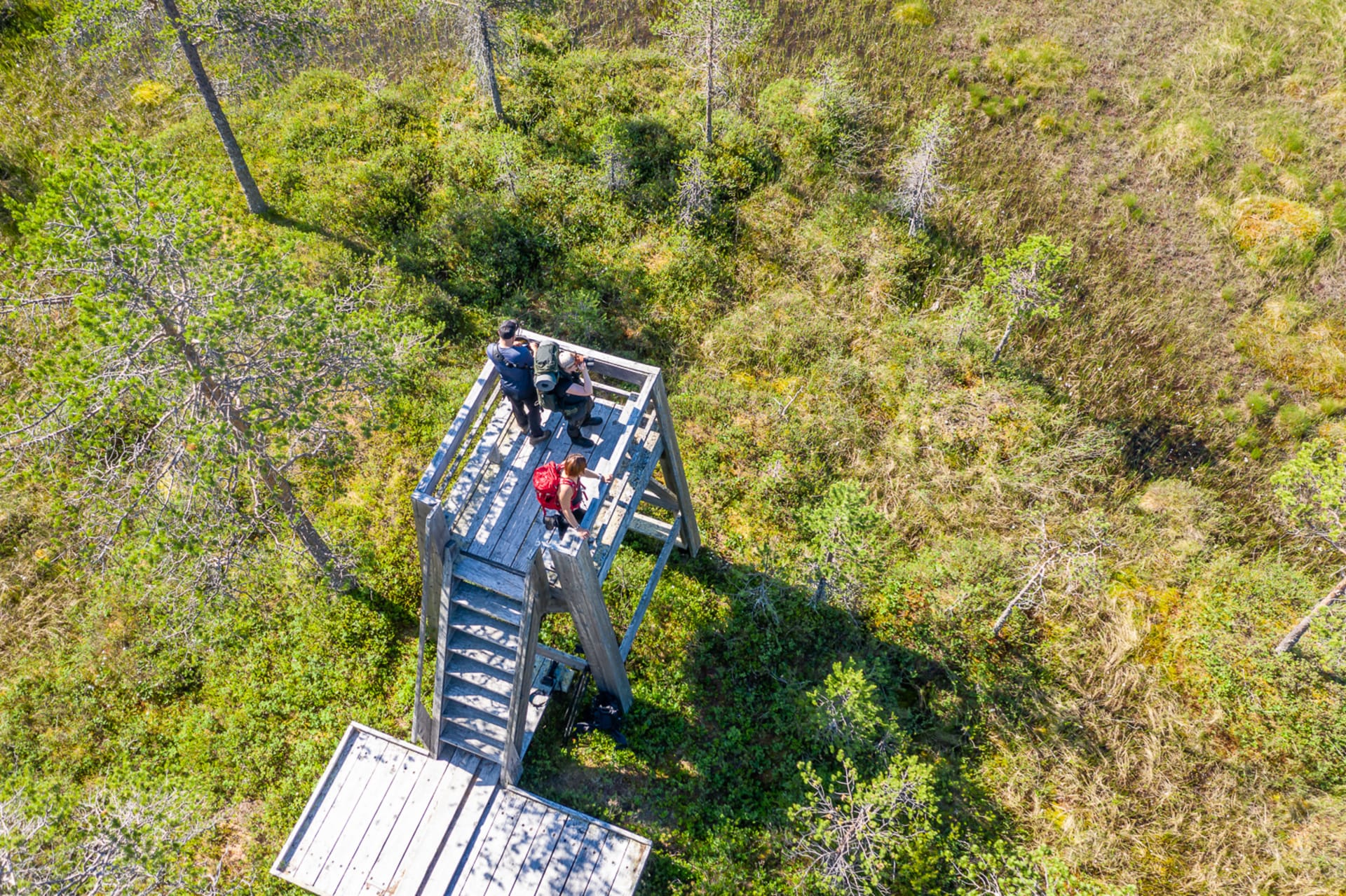 Boreal bird and wildlife tour - bird watching tower