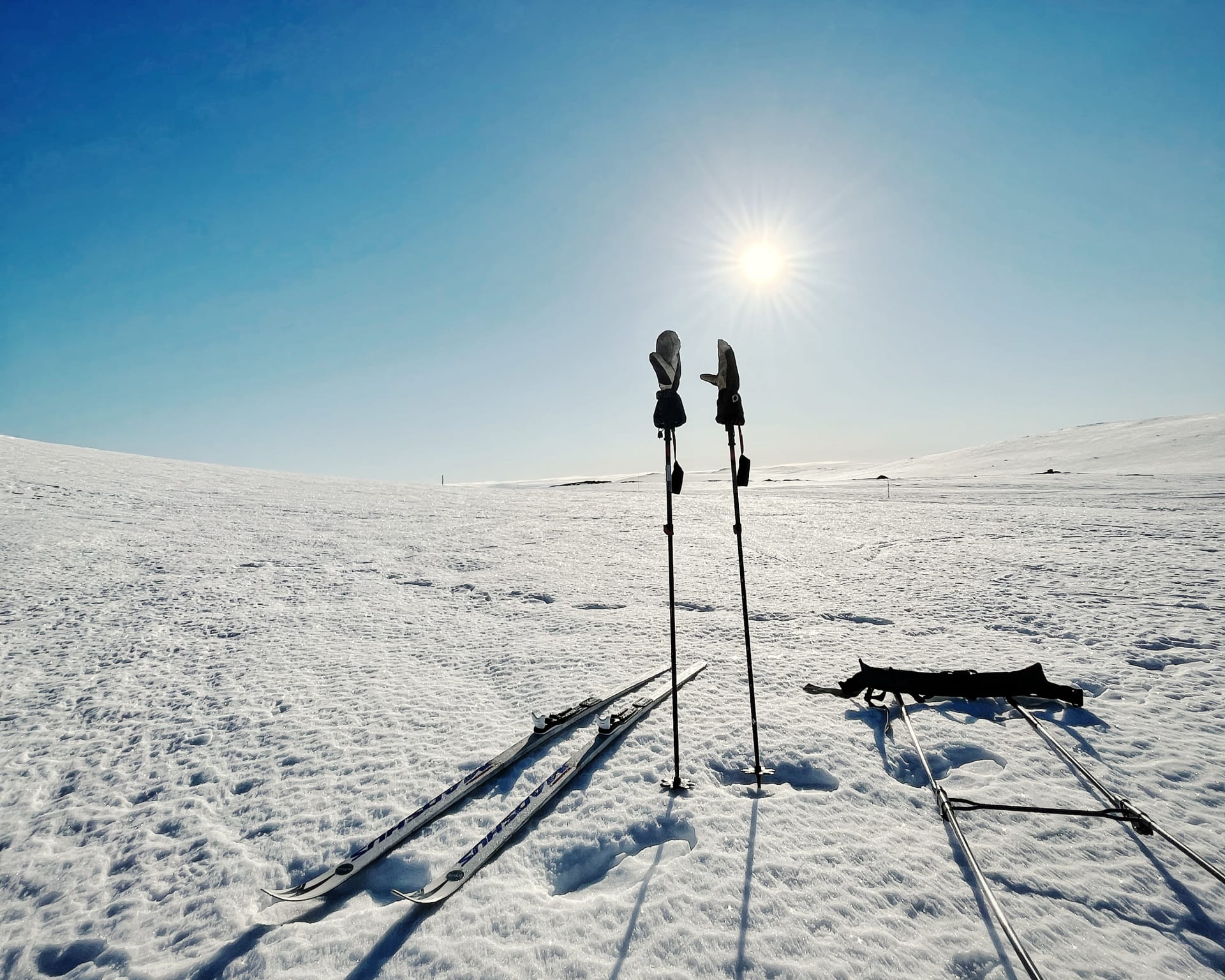 Ski poles in the sun