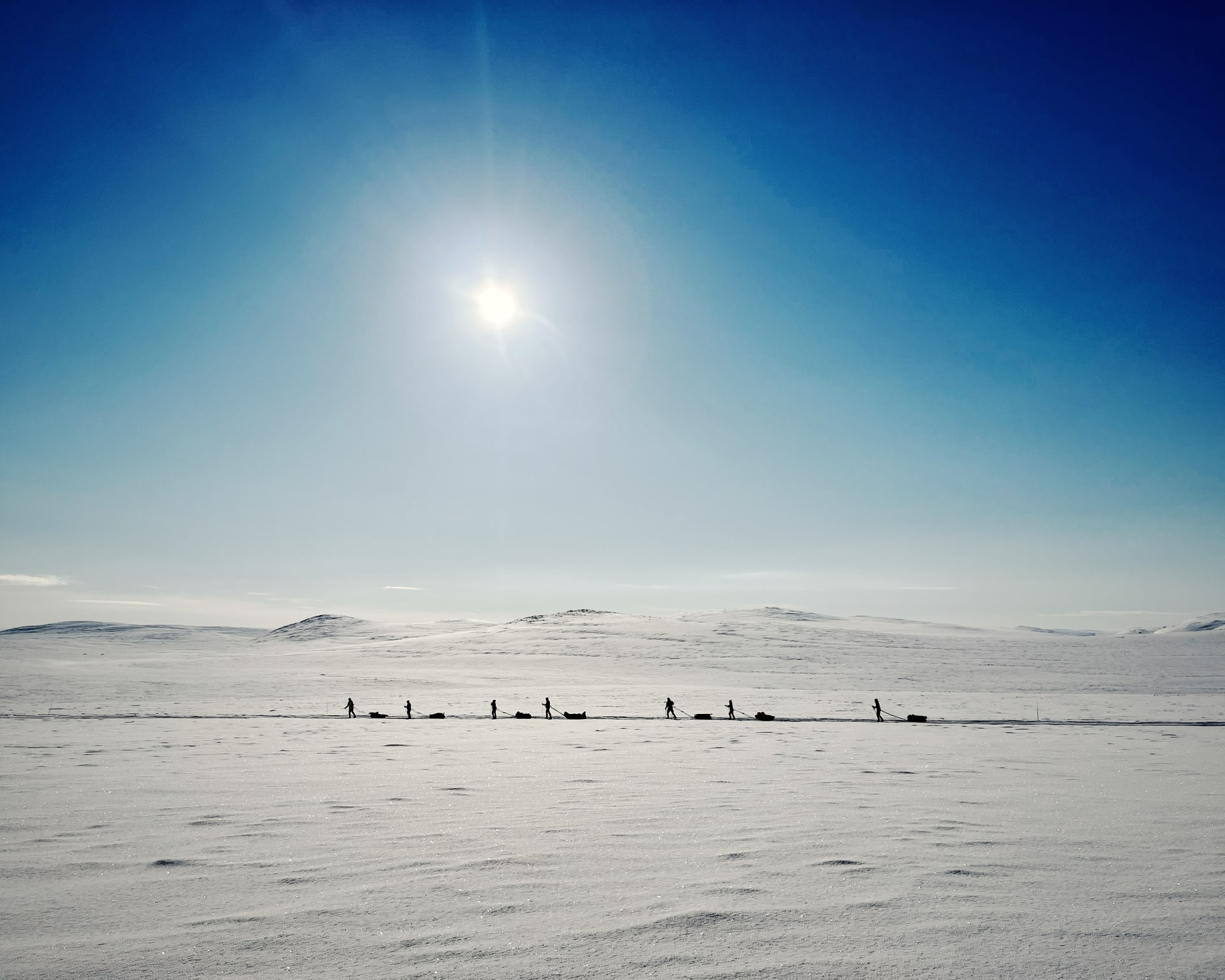The group ski trekking under the spring sun