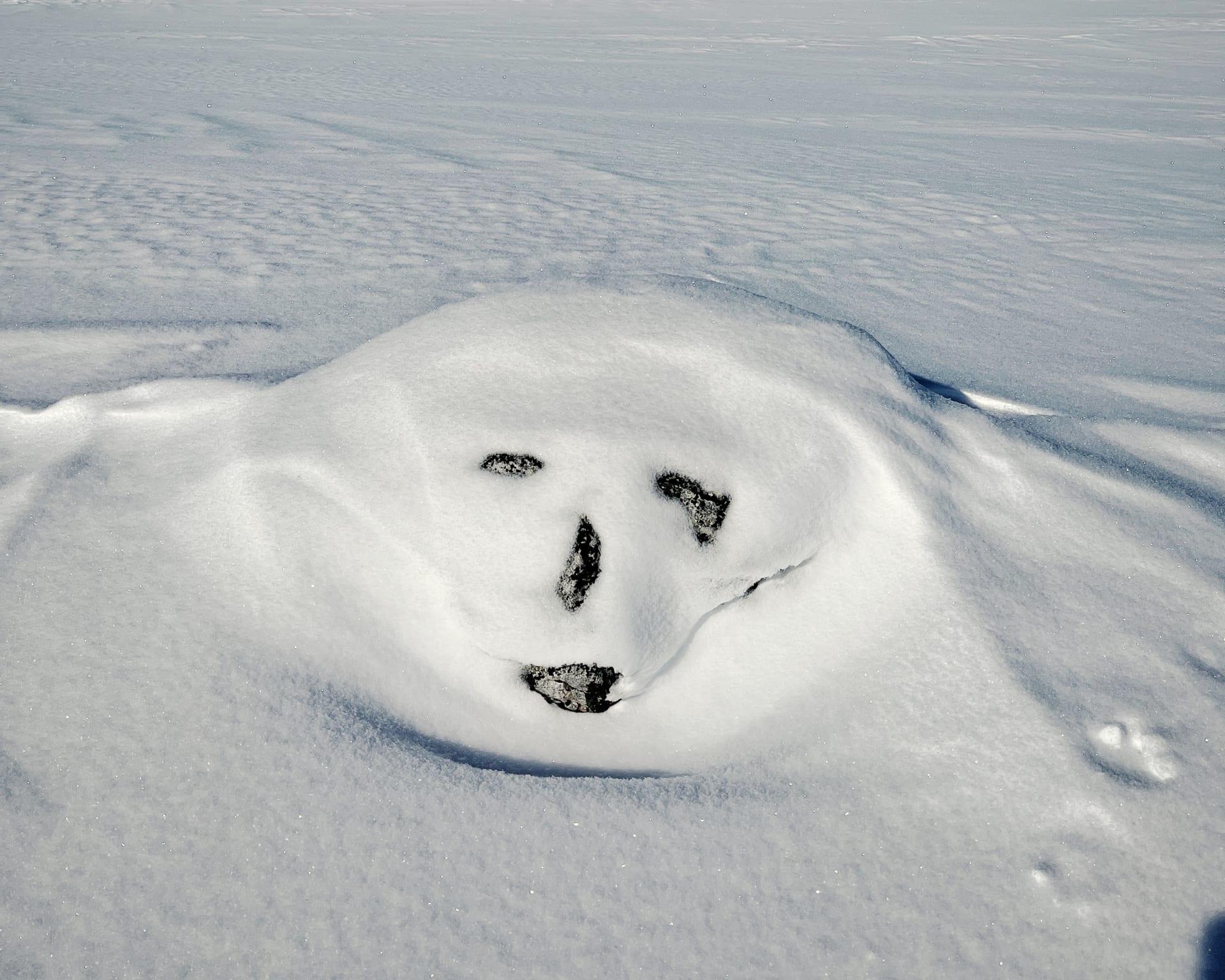 Someone is always watching