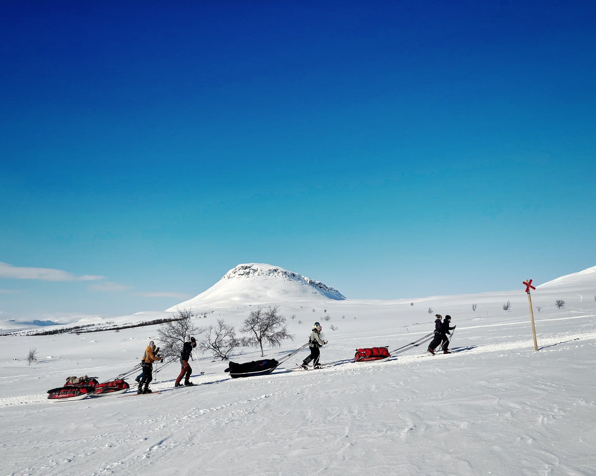 Team hauling their pulkas uphill