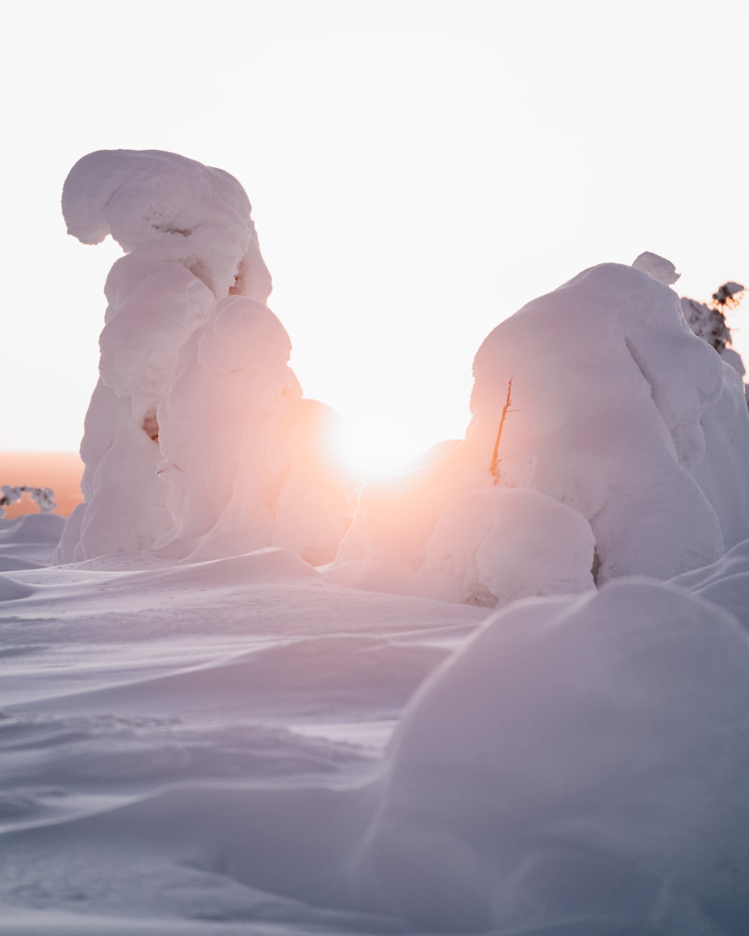 Midwinter and a glimpse of the sun 