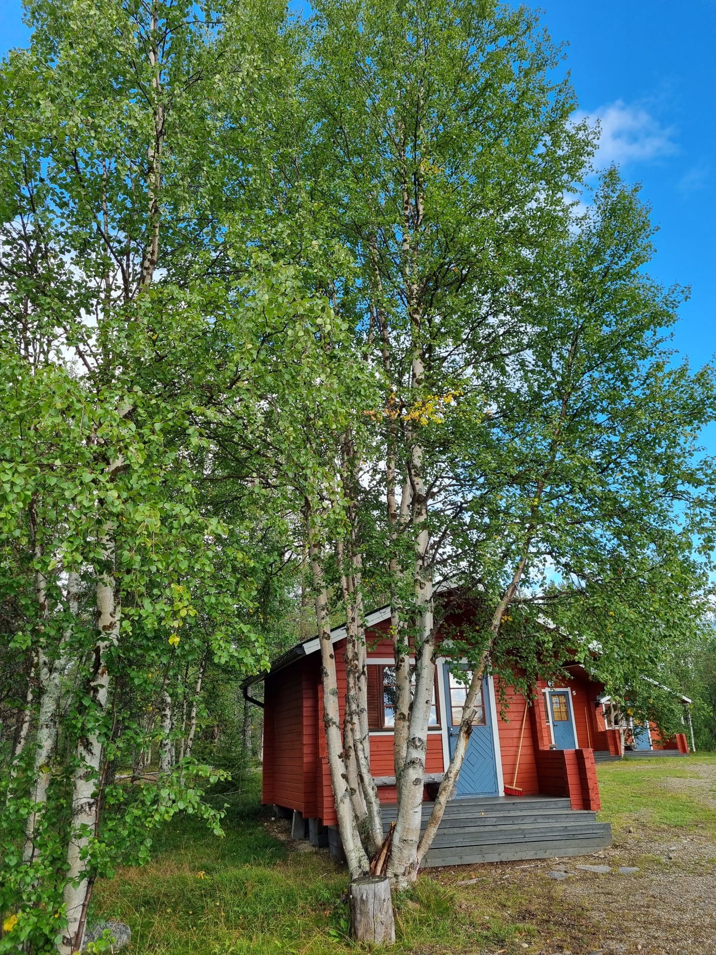 Cottage in the summer
