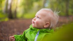 Osmonpuiston leikkipuisto