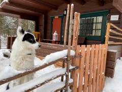 I’m about to go for a walk on the lovely lake ice!