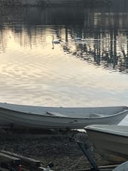 Veneet vanajan rannassa Kaupunginpuistossa