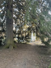 Huvimaja kuusen takana